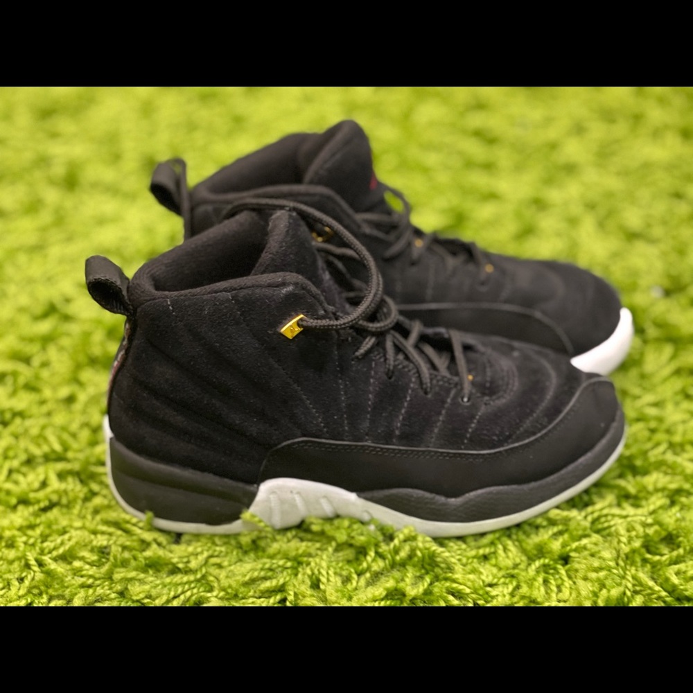 Jordan retro 12